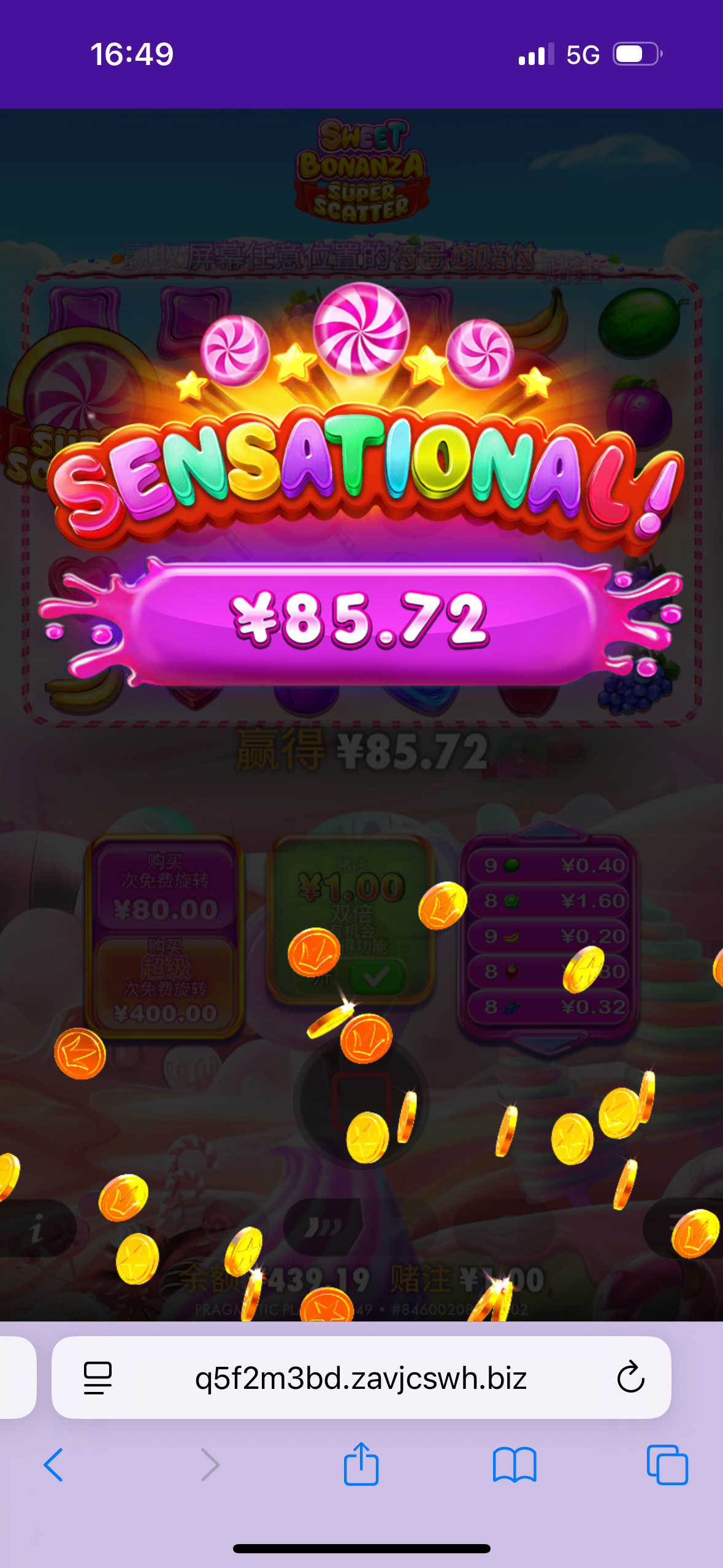 IMG_7901.png